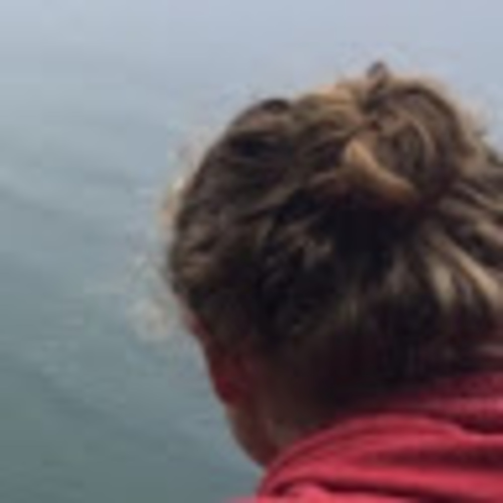 Meet your Posher, Avery